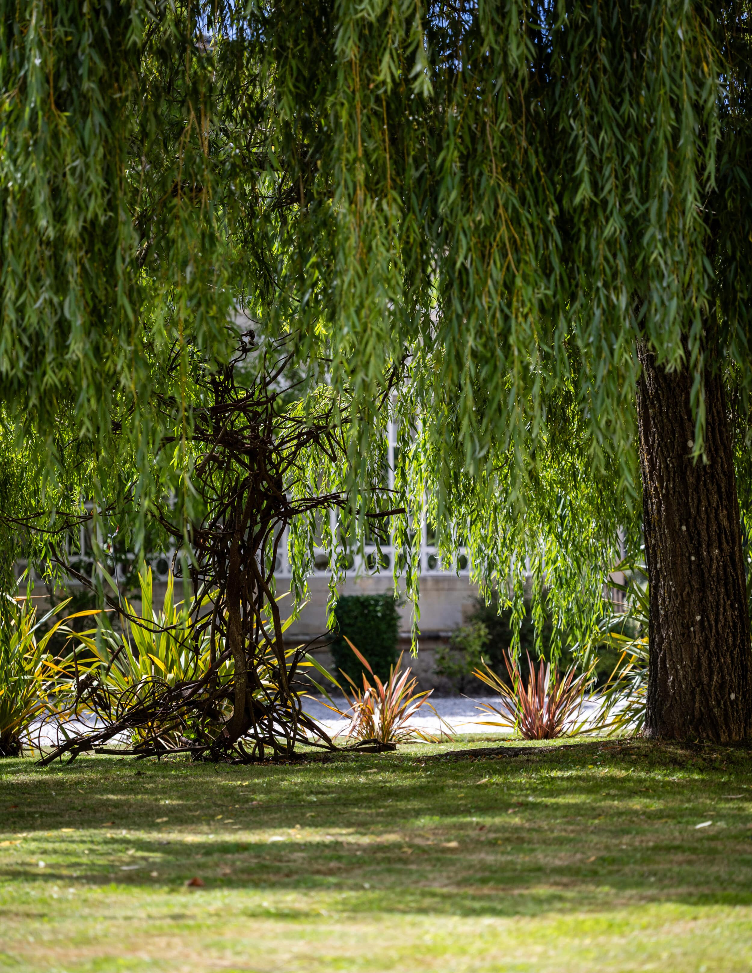 Végétation devant le château Belgrave