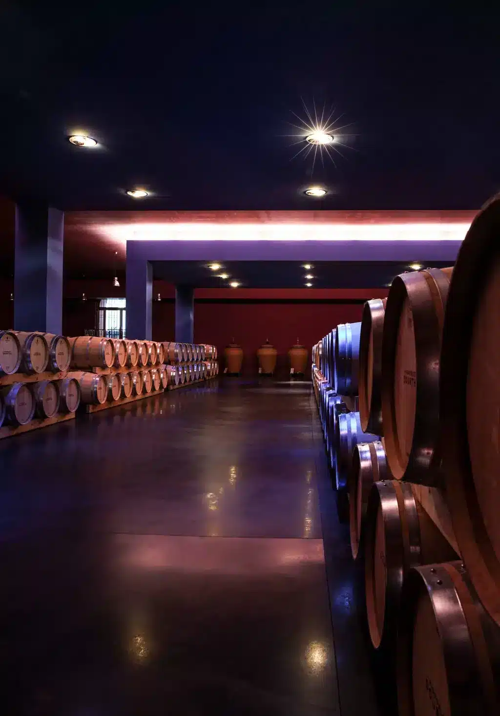 Chai à barrique Château Belgrave 2007