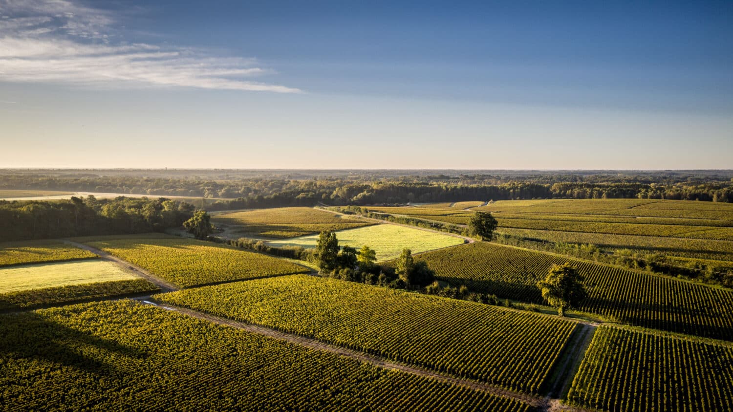 Parcelles du château Belgrave